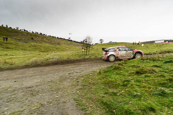 WRC_OCT 2016-6315