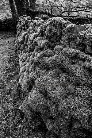 BNW COWSIDE FARMHOUSE WALLS
