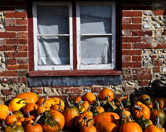 RWCS_pumpkins 2009-30