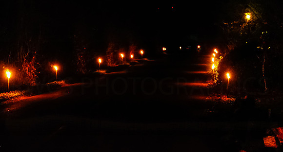 Lambs_december_torches-1508