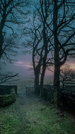 COWSIDE FARMHOUSE DAWN