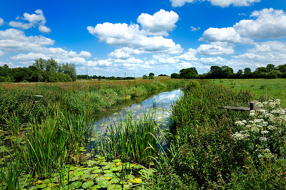 Sussex_river scene Adur.jpg