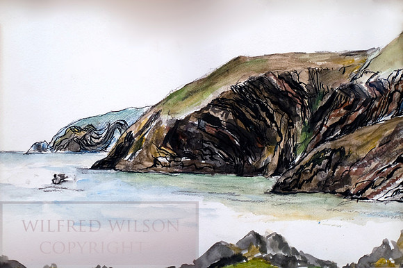 #105 Ceibwr PEMBROKESHIRE