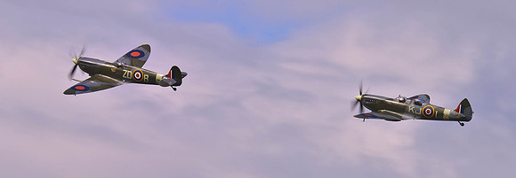 spitfires-8705