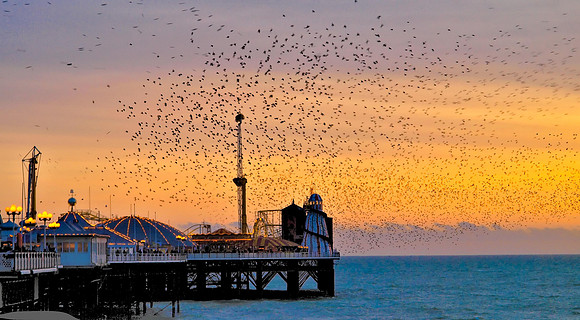 Brighton-