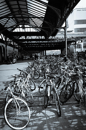 Brighton-8803