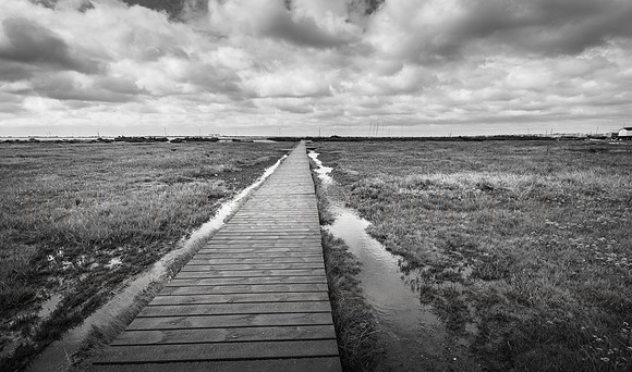 WEST MERSEA-00617