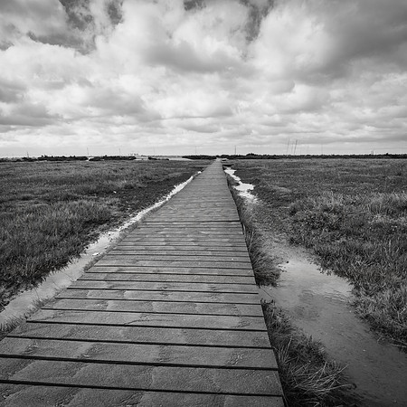 WEST MERSEA-00618