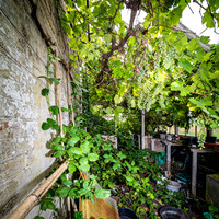 72 dpi_DSC3124-Enhanced-NR