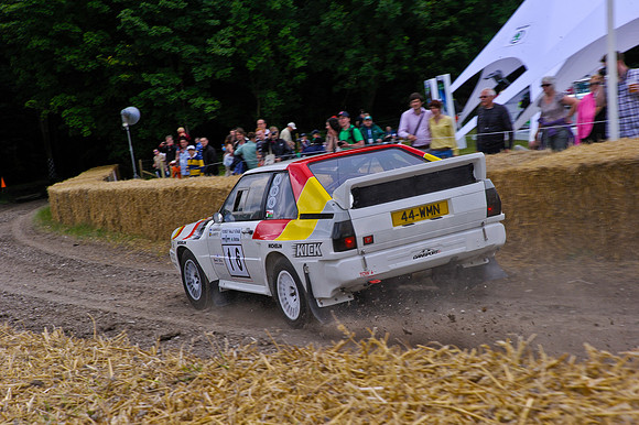 Goodwood FOS #-4973-2