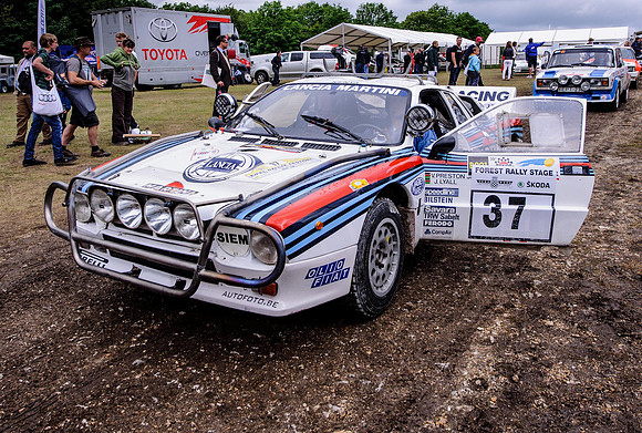 Goodwood FOS #-9435