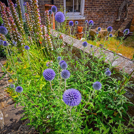 Cowfold Gallery Garden Ornaments for sale -105754