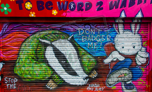 Brighton Street Art -15