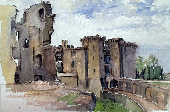 #84 Inside Raglan Castle