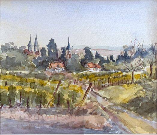 french Vineyard