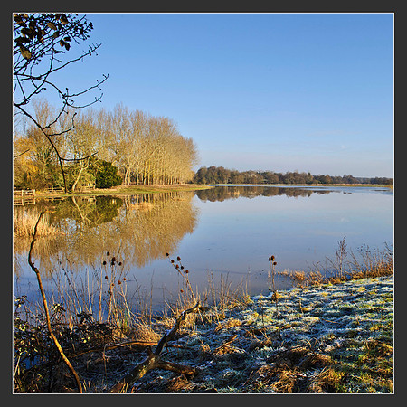 Mockbridge  Sussex Winter views
