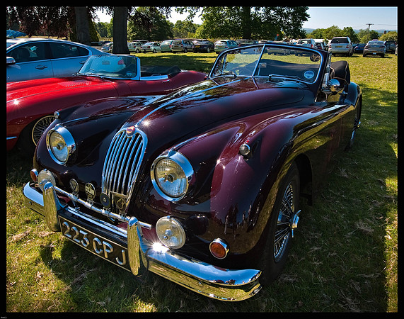_DSC2834-Edit
