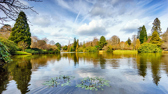 Sheffield Park Gardens : Uckfield : East Sussex
