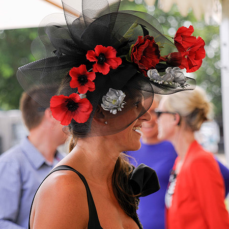 Dreamflight Ladies Day Hickstead _10 best Fillies of the Day