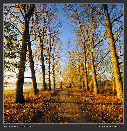 Autumn & Winter-5293
