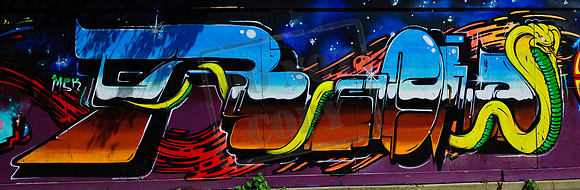 RWCS Graffiti-1683