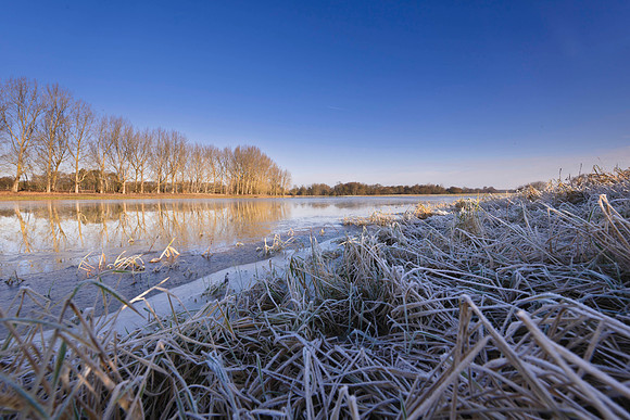 Mockbridge  Sussex Winter views