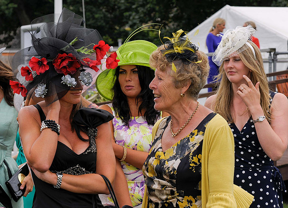 Dreamflight Ladies Day Hickstead _10 best Fillies of the Day