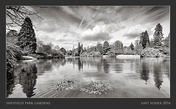 Sheffield Park Gardens : Uckfield : East Sussex