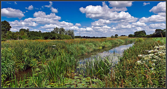 Wineham bridge Mid Summer