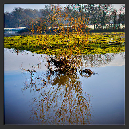 Mockbridge  Sussex Winter views