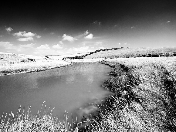 RWCS_Sussex selection_-12