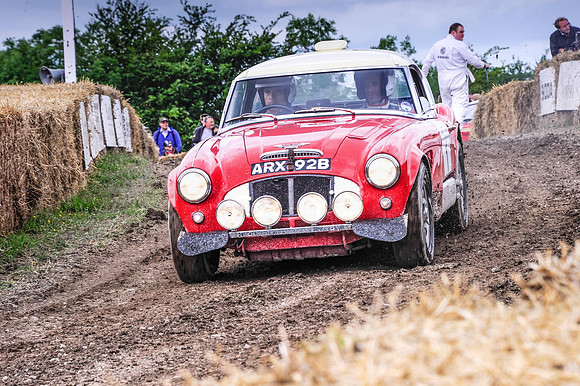 Goodwood FOS #-4575