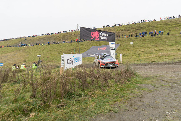 WRC_OCT 2016-6181