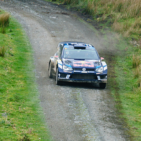 WRC_OCT 2016-5758
