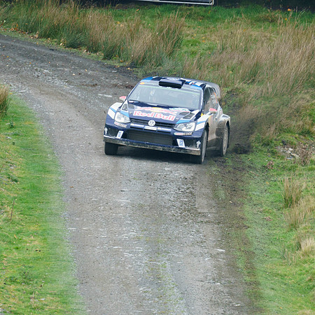 WRC_OCT 2016-5752