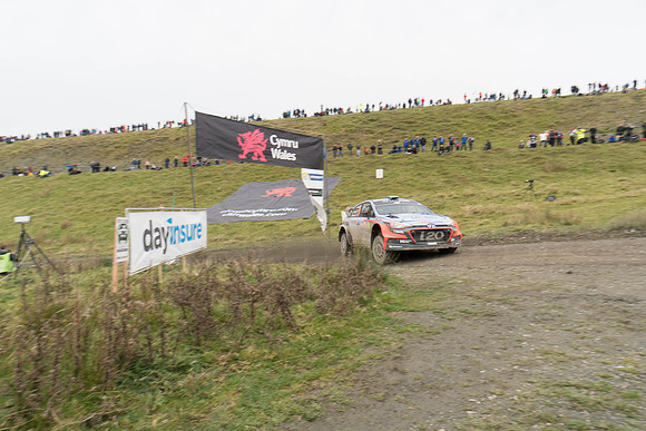 WRC_OCT 2016-6183