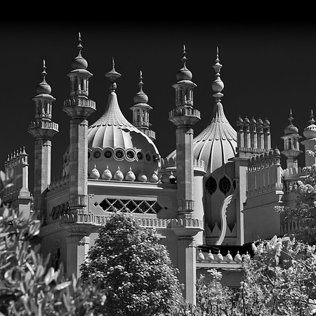 Brighton pavilion  collection (6 of 134)