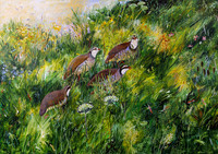 Long Grass