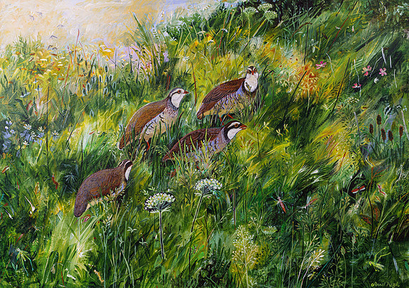 Long Grass