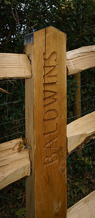 Cowfold Churchyard Marks (14 of 77)