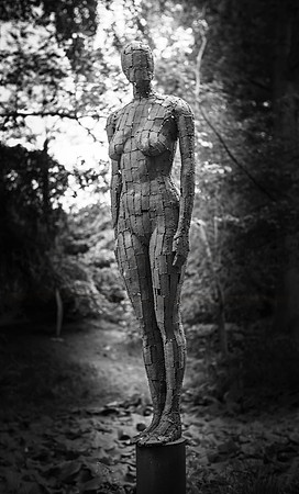 Hannah Peschar Garden 2014