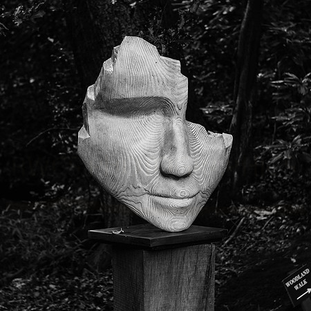 Hannah Peschar Garden 2014