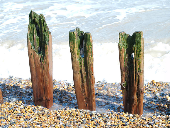 Dungeness & Camber-5