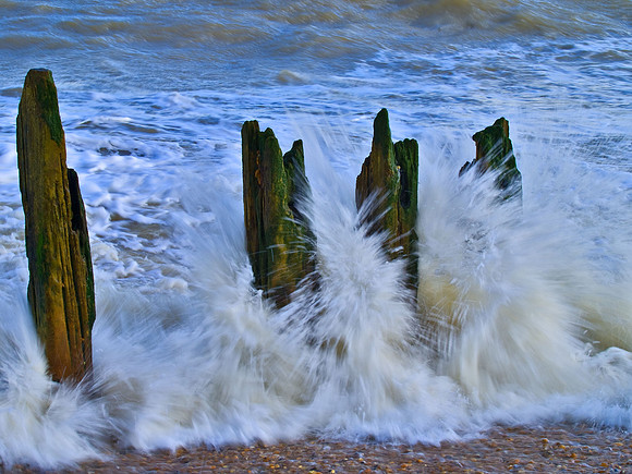 Dungeness & Camber-3