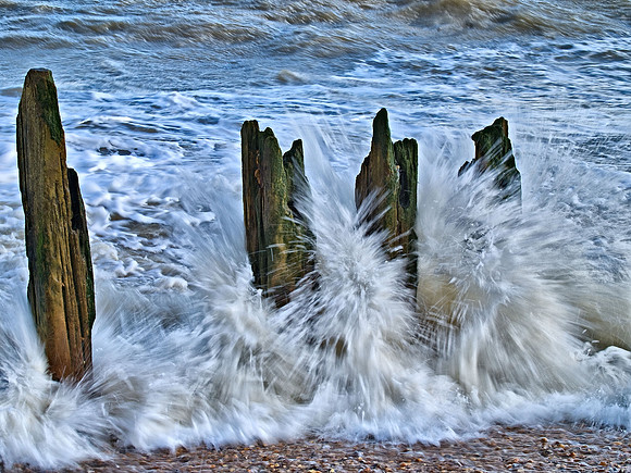 Dungeness & Camber-4