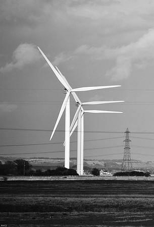 The dungeness  collection-6