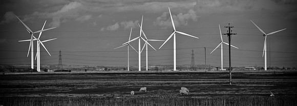The dungeness  collection-3