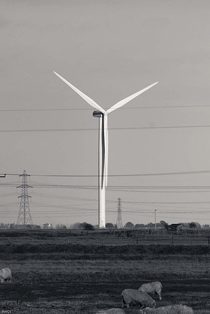The dungeness  collection-5