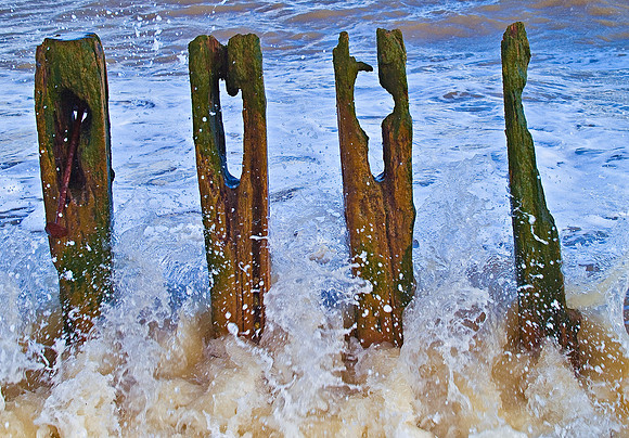 Dungeness & Camber-2