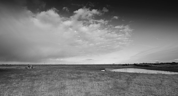 The dungeness  collection-8